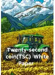 Максим Ерыгин - Twenty-second coin(TSC) White Paper