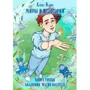 Постер книги Миры и истории. Книга третья. Академия. Магия воздуха.
