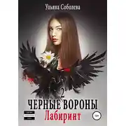 Постер книги Черные вороны 2. Лабиринт