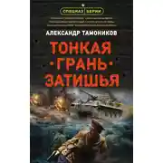 Постер книги Тонкая грань затишья