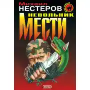 Постер книги Невольник мести