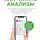 Антон Родионов - Как читать анализы. Все лабораторные анализы в одной книге