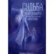 Постер книги Судьба Некроманта