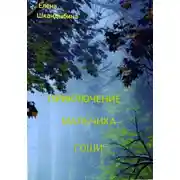 Постер книги Приключение мальчика Гоши