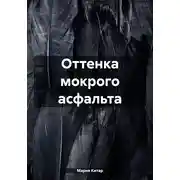 Постер книги Оттенка мокрого асфальта
