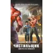 Постер книги Чистильщик. Выстрел из прошлого