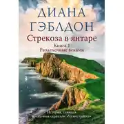 Постер книги Стрекоза в янтаре. Книга 1. Разделенные веками