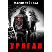 Постер книги Ураган
