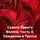 Светлана Ненашева - Сказки бурого болота. Часть 4. Хождение в Третье царство