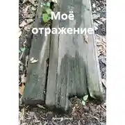 Постер книги Моё отражение