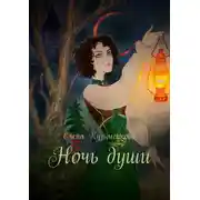 Постер книги Ночь души