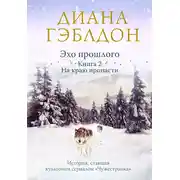 Постер книги Эхо прошлого. Книга 2. На краю пропасти