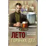 Постер книги Лето горячих дел