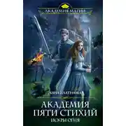 Постер книги Академия Пяти Стихий. Искры огня