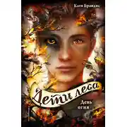 Постер книги День огня