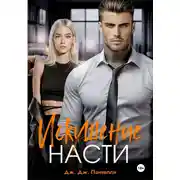 Постер книги Искушение Насти