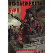 Постер книги Неизбежность бури
