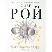 Постер книги Одно чудесное пари
