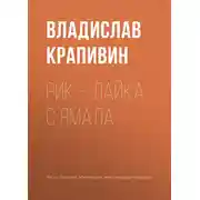 Постер книги Рик – лайка с Ямала