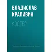Постер книги Костёр