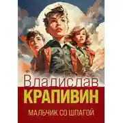 Постер книги Мальчик со шпагой