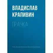 Постер книги Прачка