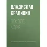 Постер книги Осколок моря