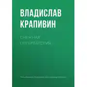 Постер книги Снежная обсерватория