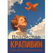 Постер книги Самолет по имени Сережка