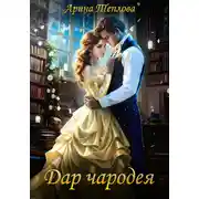 Постер книги Дар чародея