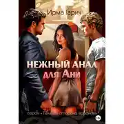 Постер книги Нежный анал для Ани