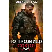 Постер книги По прозвищу «Сокол». Том 1