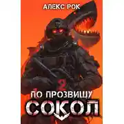 Постер книги По прозвищу «Сокол». Том 2