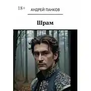 Постер книги Шрам