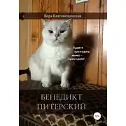 Постер книги Бенедикт Питерский
