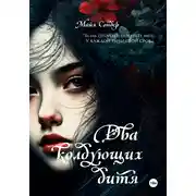 Постер книги Два колдующих дитя