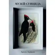 Постер книги Музей суицида