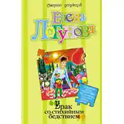 Постер книги Брак со стихийным бедствием