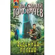 Постер книги Ведьмина поляна