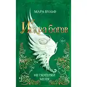 Постер книги Искра богов. Не потеряй меня
