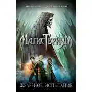 Постер книги Железное испытание