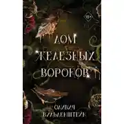 Постер книги Дом железных воронов