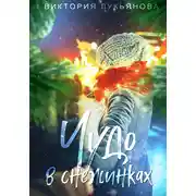 Постер книги Чудо в снежинках