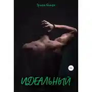 Постер книги Идеальный