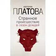 Постер книги Странное происшествие в сезон дождей