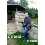 Постер книги Стих-ток