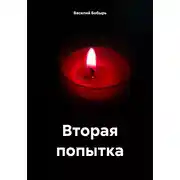 Постер книги Вторая попытка