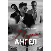 Постер книги Падший ангел