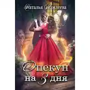 Постер книги Опекун на 3 дня