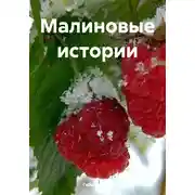 Постер книги Малиновые истории